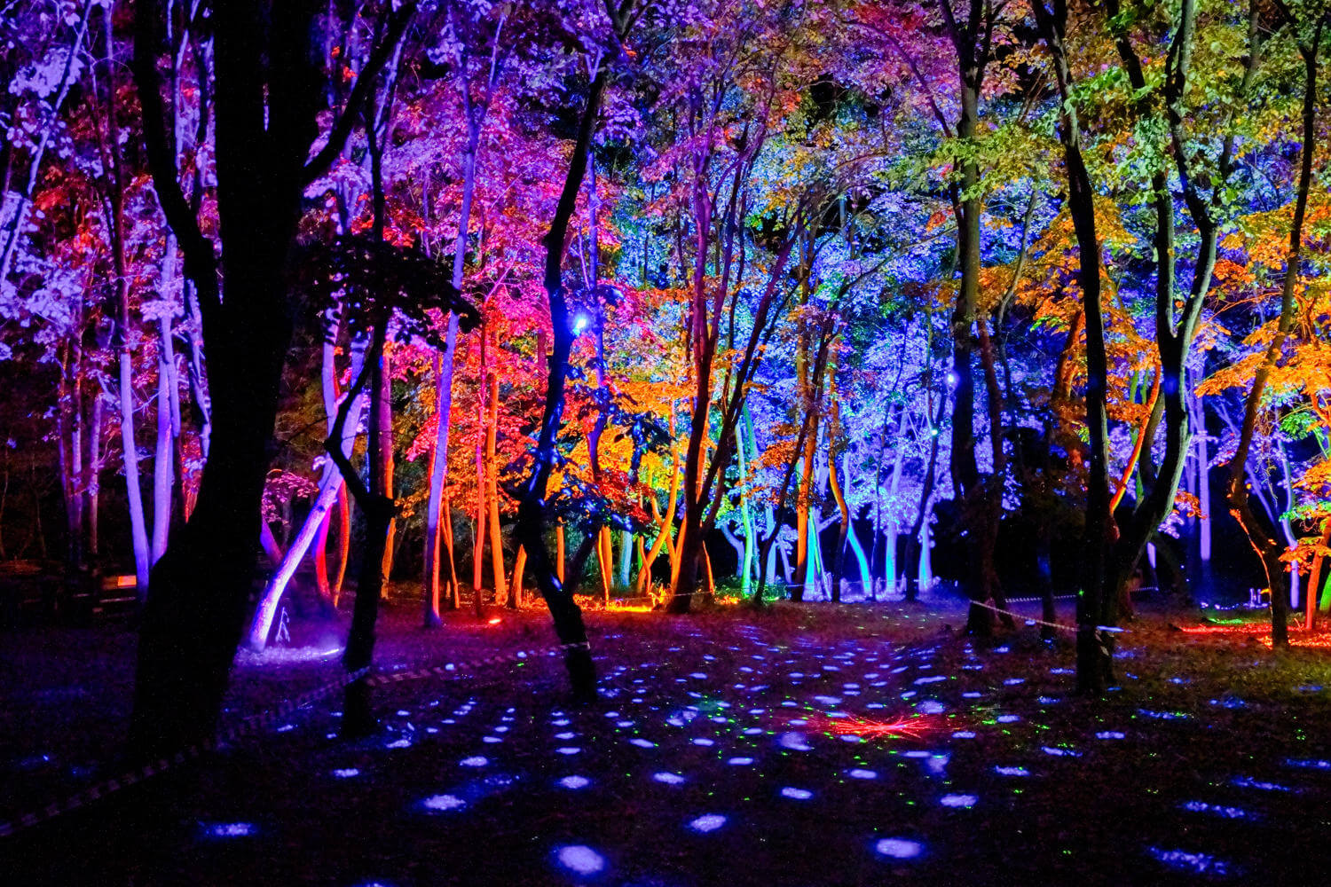 Светлинно шоу - Luminos - Рекламна фотография